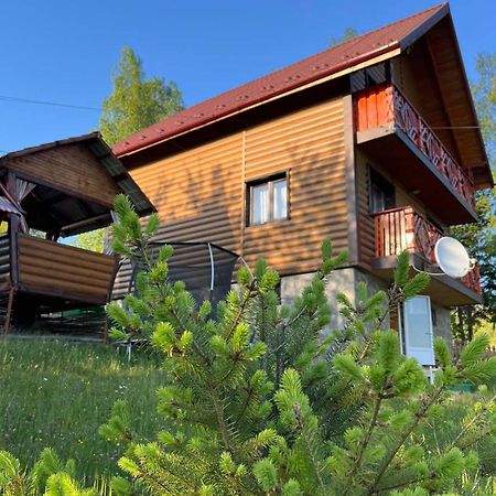 Сімейний Котедж Краєвид Mykulychyn Εξωτερικό φωτογραφία