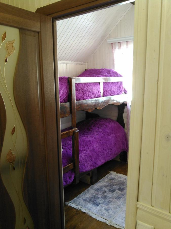 Сімейний Котедж Краєвид Mykulychyn Εξωτερικό φωτογραφία