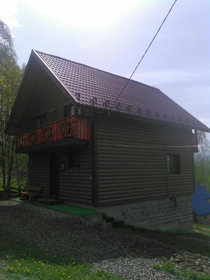 Сімейний Котедж Краєвид Mykulychyn Εξωτερικό φωτογραφία